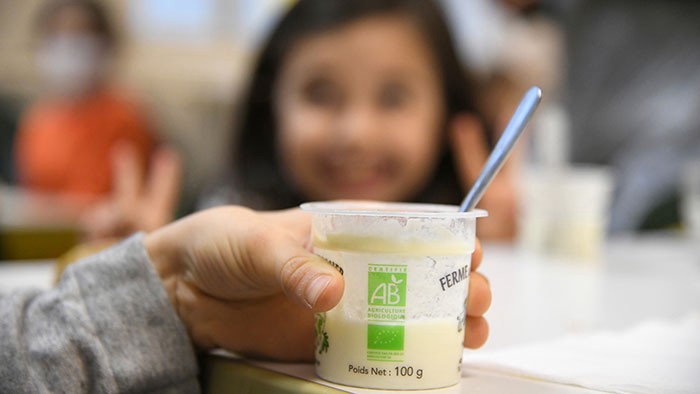 Pot de yaourt bio à la cantine