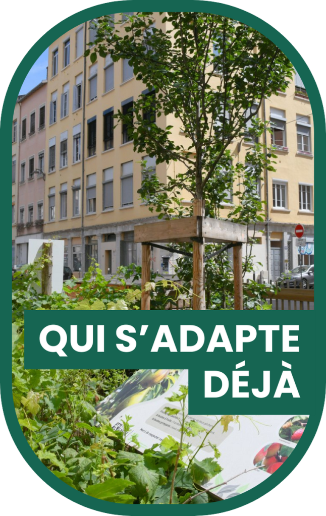 Une Ville qui s'adapte déjà