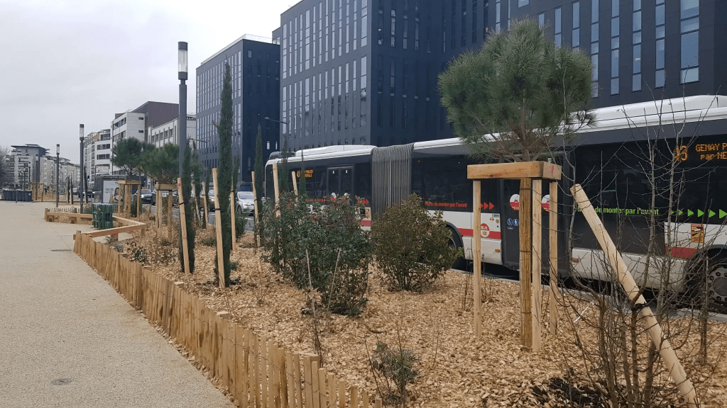 Végétalisation de rue 