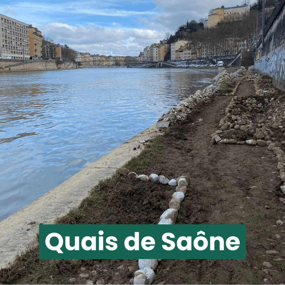 Les quais de Saône 