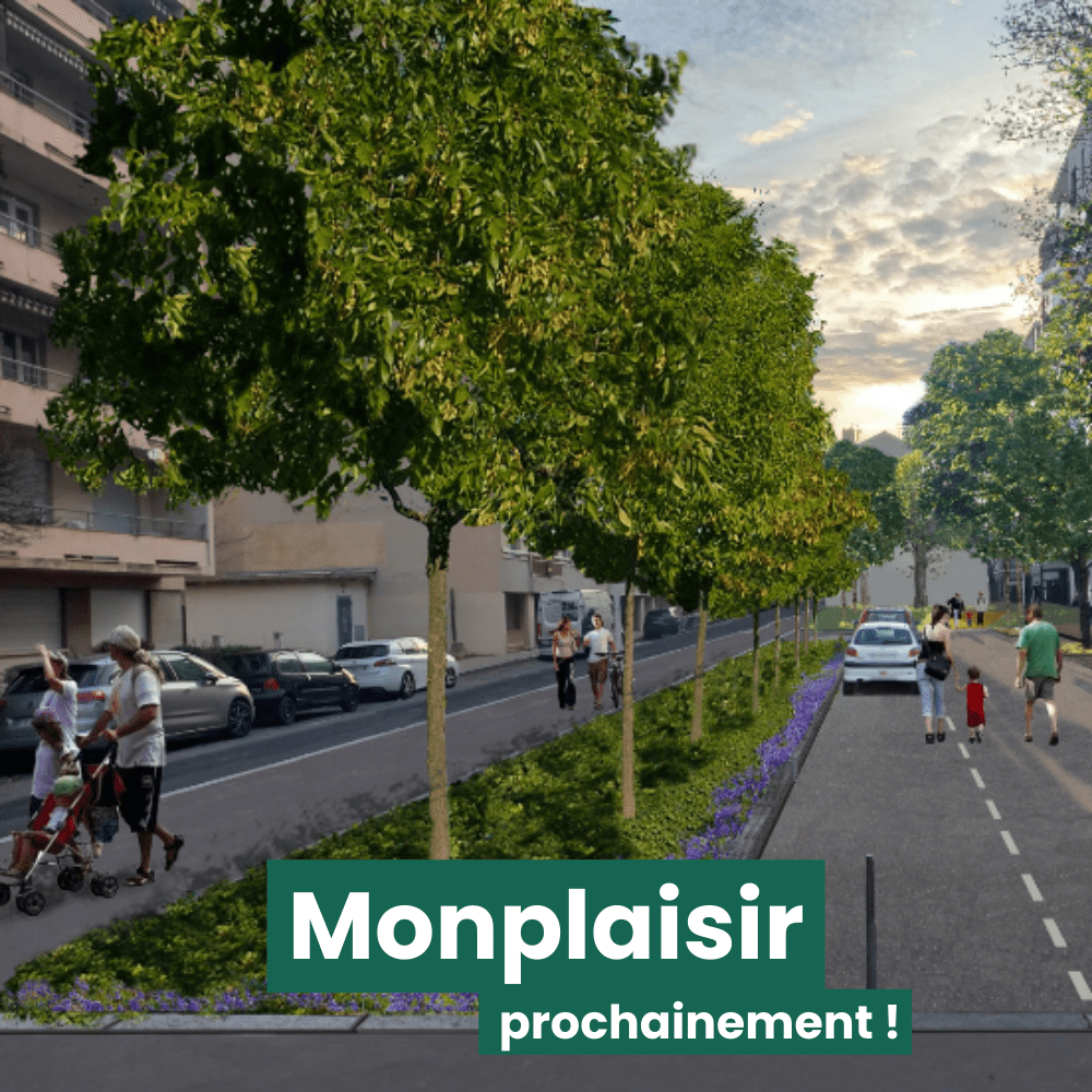 La rue Saint Nestor à Monplaisir prochainement végétalisée