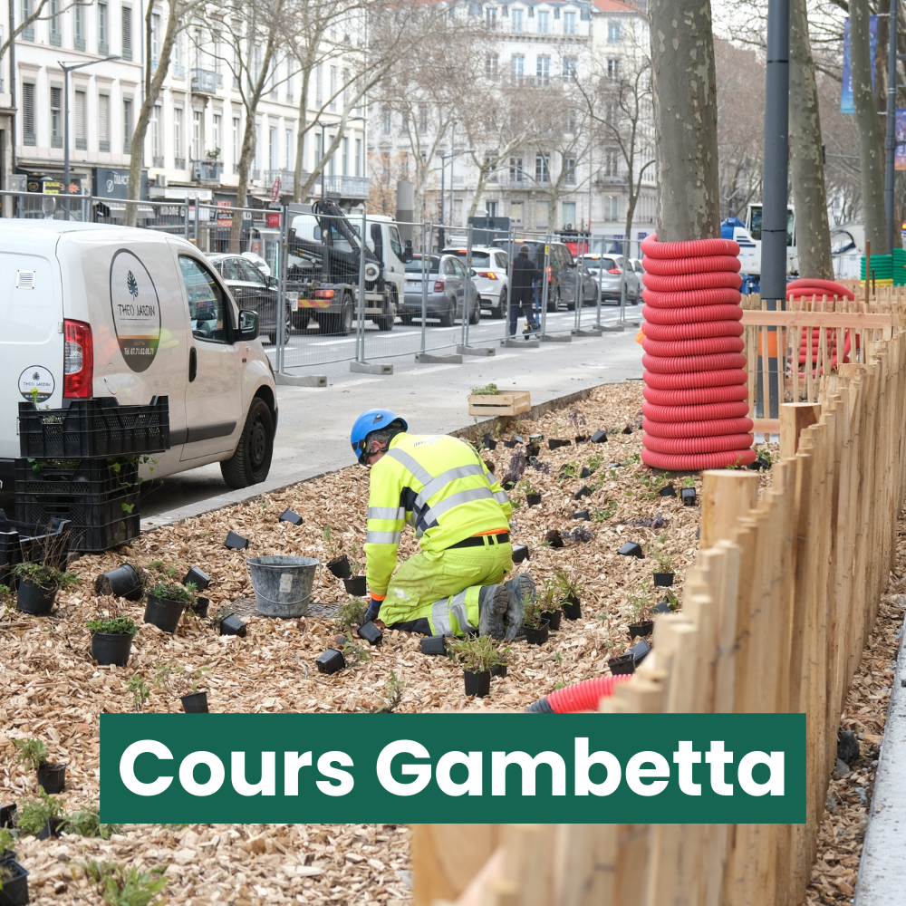 Cours Gambetta