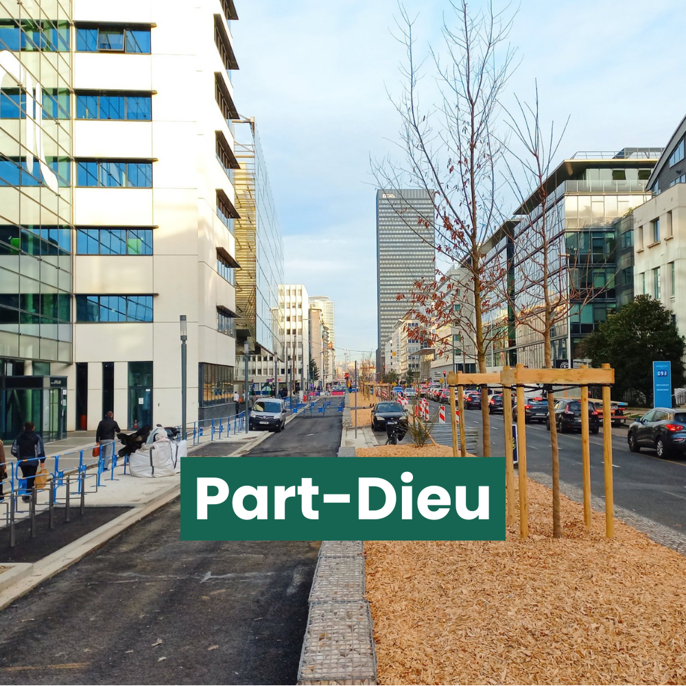 Le boulevard Vivier-Merle dans le quartier de la Part-Dieu