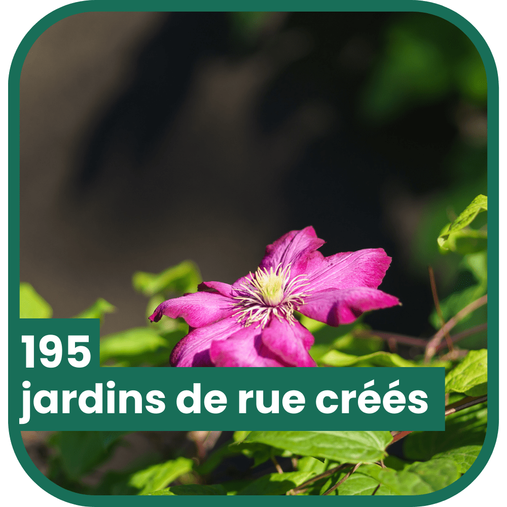 195 jardins de rue créés