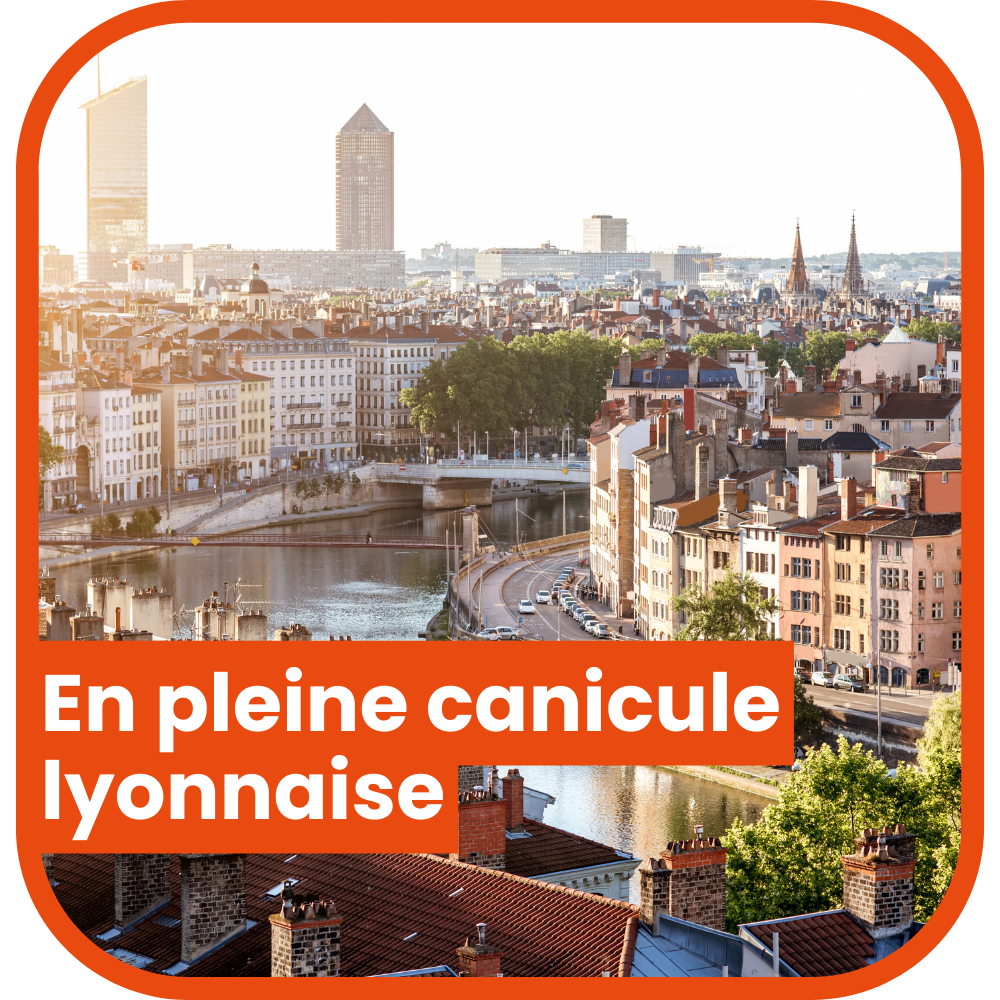 En pleine canicule lyonnaise